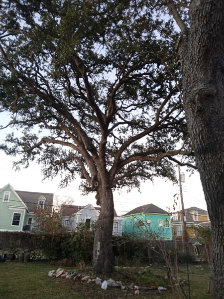 Finished job, clean property